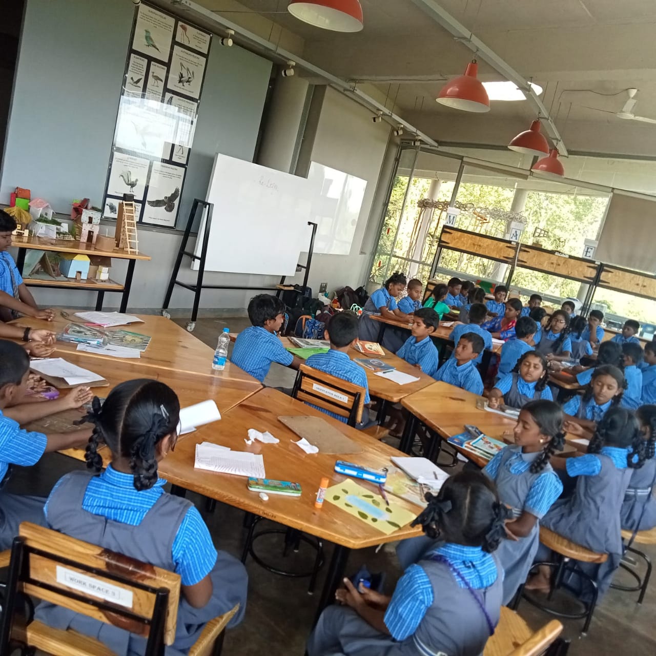 Primary School